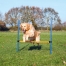 Zdjęcie Trixie Dog Activity Agility poprzeczka dla psa   niebiesko-pomarańczowy 123 x 115 cm