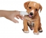 Zdjęcie Micromed Dog Finger czyścik do zębów M  dla psów 
