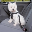 Zdjęcie Trixie Szelki samochodowe dla psa  rozmiar S (30-60 cm) 