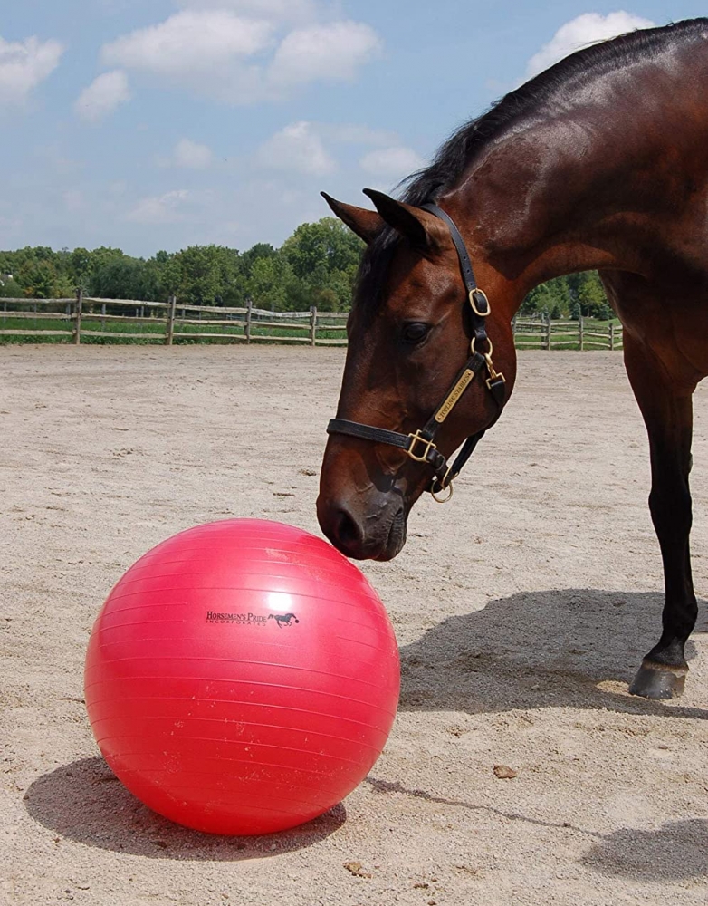 Zdjęcie Jolly Ball Mega Ball piłka gigant śr. 63,5 cm  czerwona 
