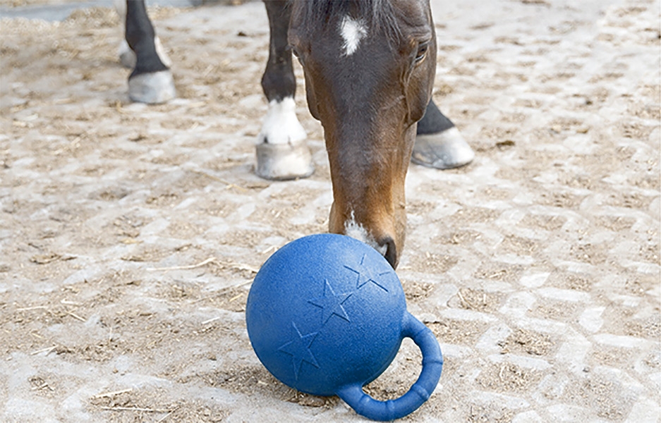 Zdjęcie York Piłka dla konia   śr. 36 cm
