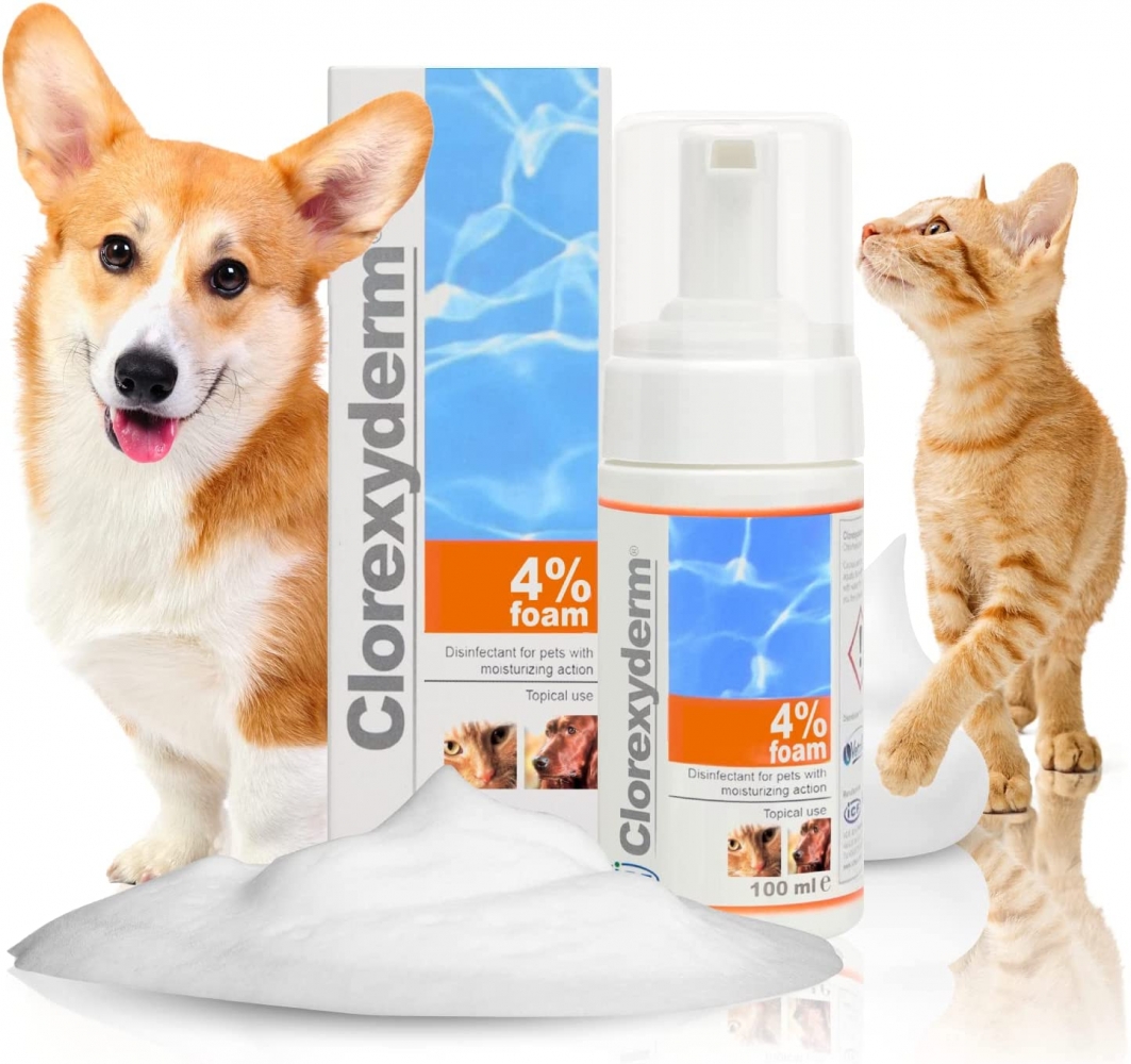 Zdjęcie Geulincx Clorexyderm Foam 4%  preparat bakterio- i grzybobójczy dla psów i kotów 100ml