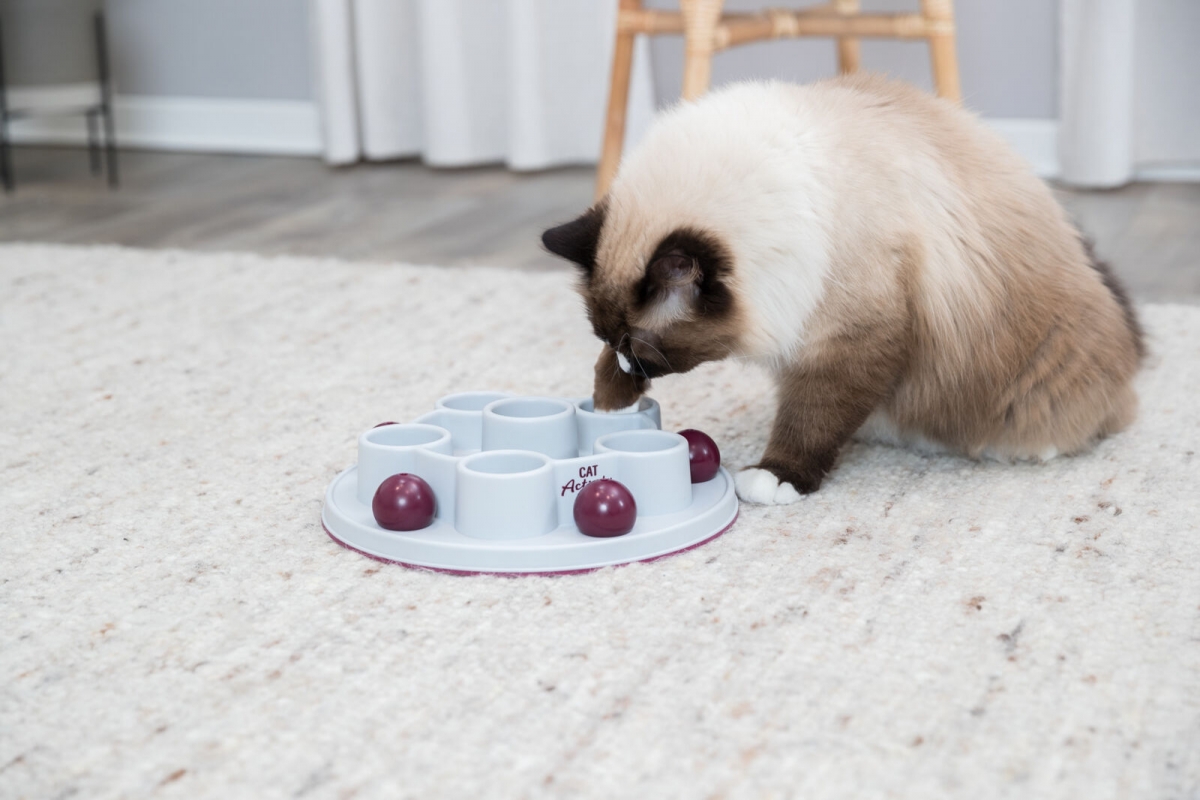 Zdjęcie Trixie Cat Activity zabawka edukacyjna dla kota  Digger / Pentagon 28 cm