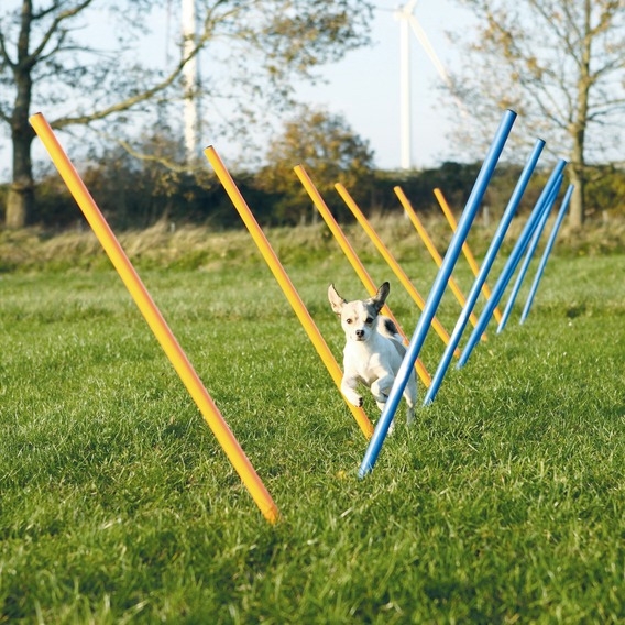 Zdjęcie Trixie Dog Activity Agility słupki Slalom dla psa   niebiesko-pomarańczowy 115 cm / śr 3 cm