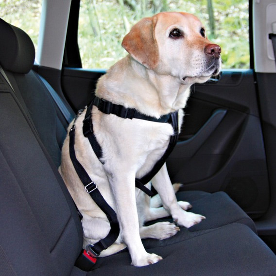 Zdjęcie Trixie Szelki samochodowe dla psa  rozmiar M (50-70 cm) 