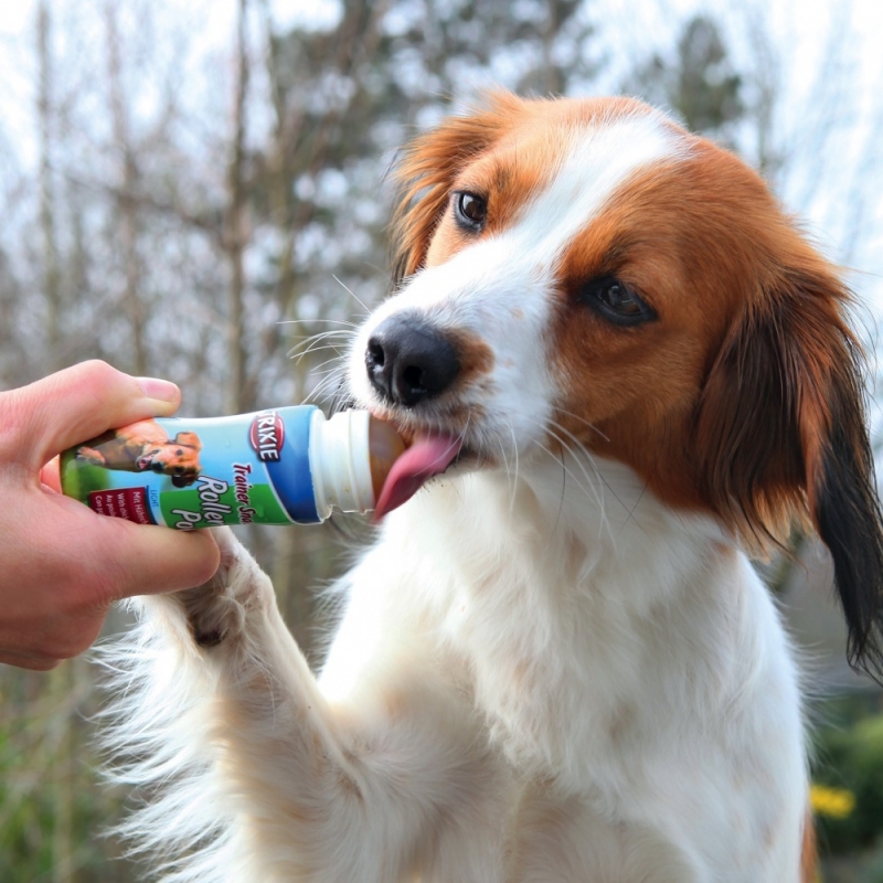 Zdjęcie Trixie Roller Pop lizawka w kulce dla psa  o smaku bekonu 45 ml