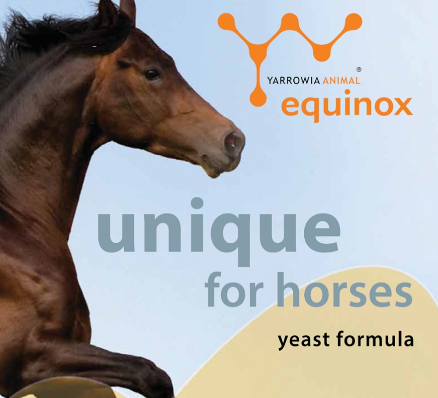 Zdjęcie Yarrowia Equinox Muscle preparat drożdżowy dla koni aminokwasy, selen oraz witaminą E 3kg