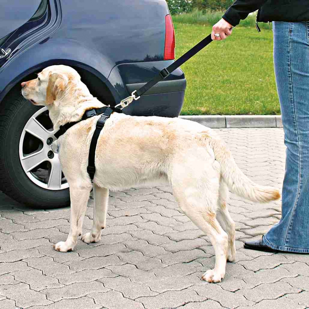 Zdjęcie Trixie Szelki samochodowe dla psa  rozmiar L (70-90 cm) 