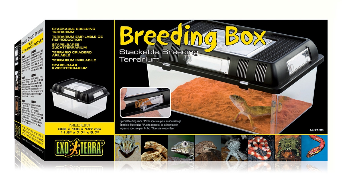 Zdjęcie Exo-Terra Breeding Box box pojemnik hodowlany  Medium: 30,2 x 19,6 x 14,7 cm 