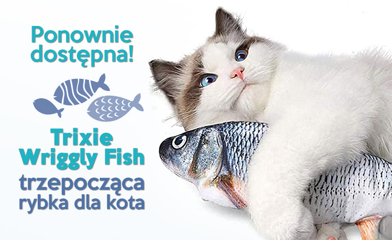 Karmy i akcesoria dla kotów | Animalia.pl