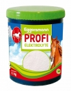 Zdjęcie Eggersmann Profi Elektrolyte - elektrolity   1kg