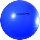 Zdjęcie Jolly Ball Mega Ball piłka gigant śr. 76 cm niebieska 