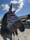 Zdjęcie Start Moskitiera z uszami Zebra  czarno-białe pasy 