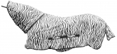 Zdjęcie Covalliero Derka siatkowa RugBe Zebra z kapturem przeciw owadom biała 