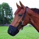 Zdjęcie Waldhausen Kaganiec dla konia miękki (nylonowy)   