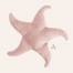 Zdjęcie Cosy And Dozy Beasty Toys zabawka dla kota  Starfish rozgwiazda różowa 13 cm