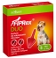 Zdjęcie Fiprex Duo Spot On  dla psów S, do 10 kg 1 x 0,67 ml