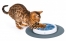 Zdjęcie catit Senses drapaczka kartonowa Scratch Pad śr. 36.5 cm 