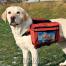 Zdjęcie Trixie Plecak dla psa rozmiar L czerwony 28 x 18 cm