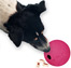 Zdjęcie Trixie Gumowa kula snack ball dla psa śr. 7 cm 
