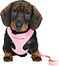 Zdjęcie Trixie Uprząż dla szczeniąt ze smyczą różowa 23 - 34 cm