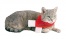 Zdjęcie Trixie Świąteczny szaliczek Merry Christmas dla psa lub kota  S