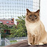 Zdjęcie Trixie Siatka ochronna do okien / balkonów 2 x 1.5 m, oliwkowa 