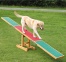 Zdjęcie Trixie Dog Activity Agility huśtawka dla psa   300 x 34 x 54 cm