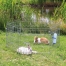 Zdjęcie Trixie Zagroda dla królików  60 x 63  cm 