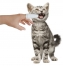 Zdjęcie Micromed Cat Finger czyścik do zębów S  dla kotów i małych psów 6 cm