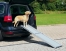 Zdjęcie Trixie Petwalk teleskopowa rampa dla psa do120kg  szara 100-180 x 43 cm 
