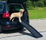 Zdjęcie Trixie Petwalk składana rampa dla psa do 90kg plastikowa czarna 156 x 45 cm 