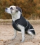 Zdjęcie Waldhausen Derka zimowa dla psa Protection  czarna 