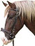 Zdjęcie PFIFF Ogłowie dla koni zimnokrwistych  