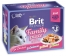 Zdjęcie Brit Multipack saszetek Premium Cat Jelly w galaretce kurczak, łosoś, wołowina, pstrąg 12x 85g