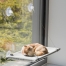 Zdjęcie Trixie Hamak dla kota do montażu na szybie  jasnoszary 50 x 30 cm