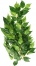 Zdjęcie Exo-Terra Roślina sztuczna Silk Ficus do terrariów tropikalnych rozm. M (50 cm) 