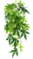 Zdjęcie Exo-Terra Roślina sztuczna Silk Abuliton do terrariów tropikalnych rozm. L (80 cm) 