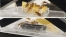 Zdjęcie Exo-Terra Cricket Pen terrarium dla świerszczy  Large: 21 x 30,5 x 20 cm 