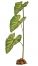 Zdjęcie Exo-Terra Dripper Plant roślina nawadniająca poidełko dla gadów i płazów nadrzewnych rozm. L (54 x 12 x 9 cm) 