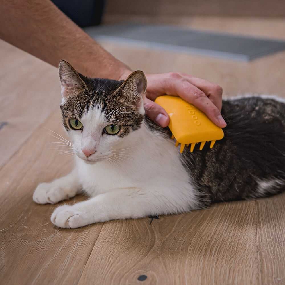 Zdjęcie Fiboo  Miękka szczotka dla kota  żółta 9 x 6,5 x 3,8 cm
