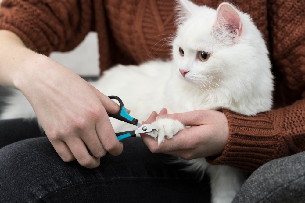 Zdjęcie Trixie Nożyczki obcinaczki do pazurków  dla psów i kotów 8 cm