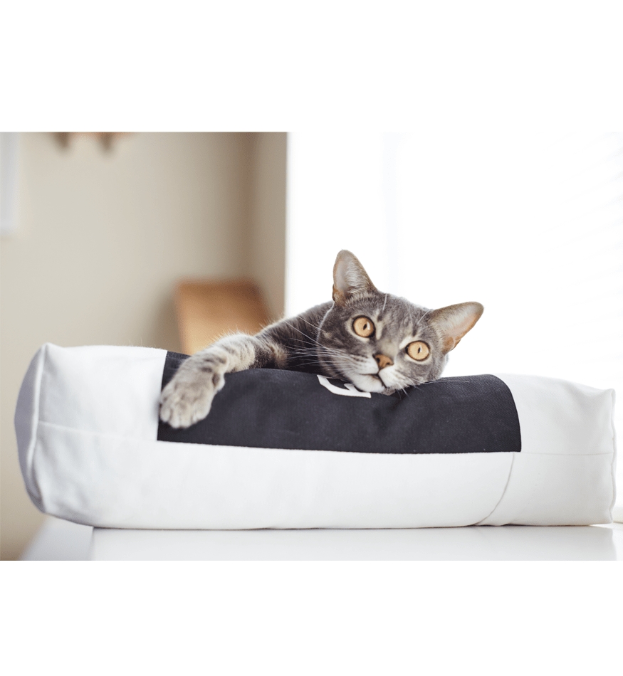 Zdjęcie myKotty Padi legowisko poduszka dla kota  biała 15 x 45 x 65 cm
