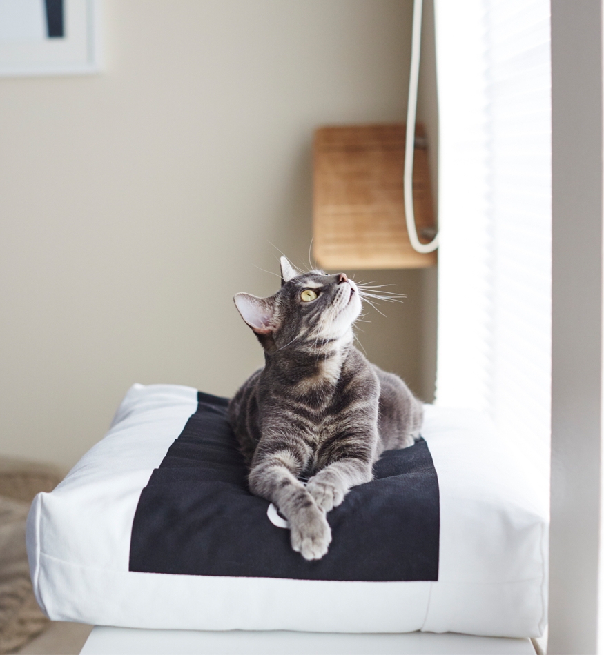 Zdjęcie myKotty Padi legowisko poduszka dla kota  biała 15 x 45 x 65 cm