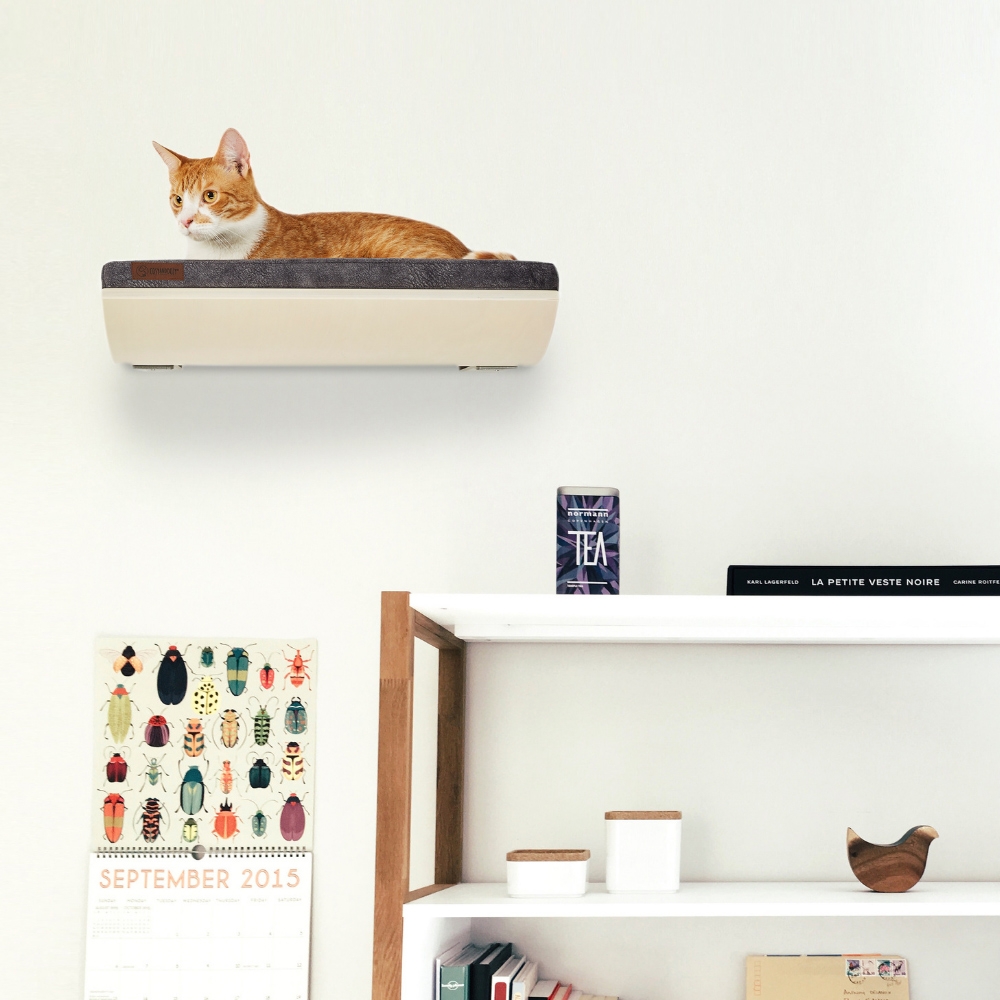 Zdjęcie Cosy And Dozy Półka dla kota Chill  Maple (klon), kolor Smooth Dark Grey 50 x 41 cm