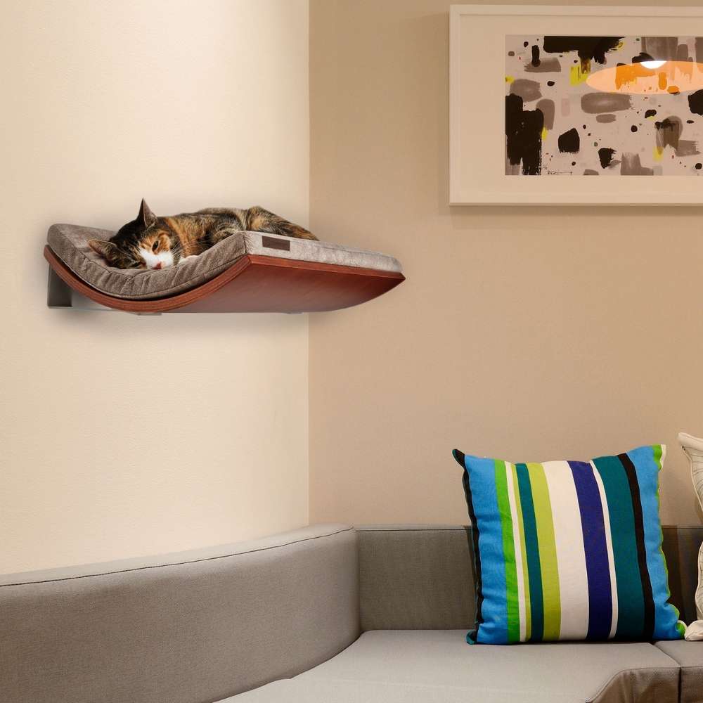 Zdjęcie Cosy And Dozy Półka dla kota Chill  Walnut (orzech), kolor Smooth Light Brown 50 x 41 cm