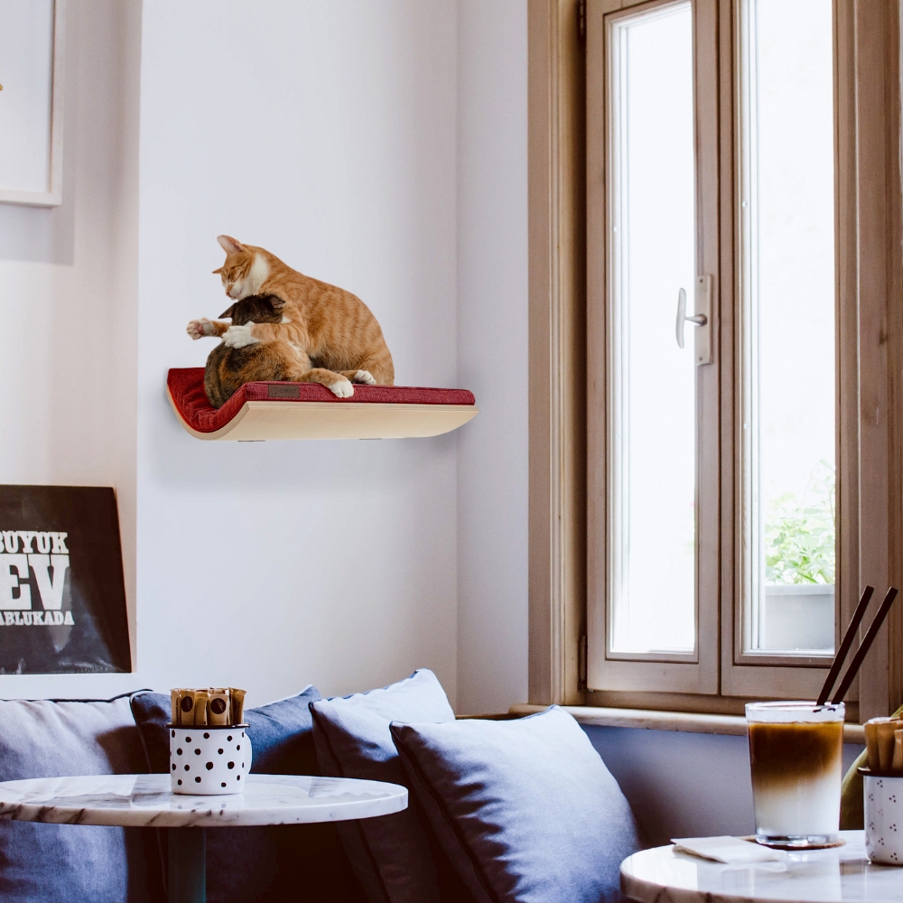 Zdjęcie Cosy And Dozy Półka dla kota Chill  Walnut (orzech), kolor Elegant Red 50 x 41 cm