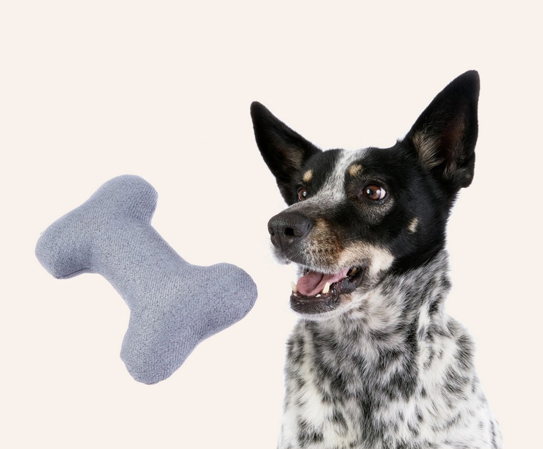 Zdjęcie Cosy And Dozy Beasty Toys zabawka dla psa  Bone kość niebieskoszara 19 cm