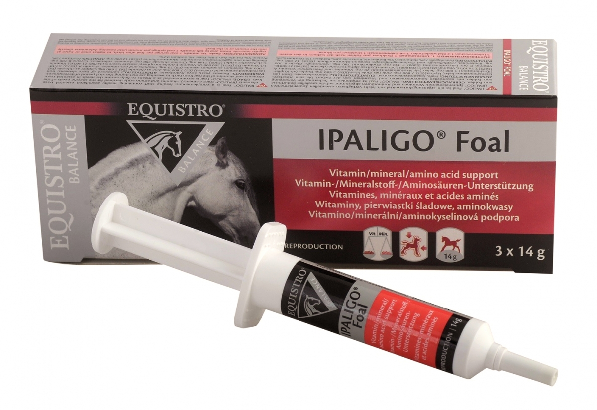 Zdjęcie Equistro Ipaligo Foal  pasta wzmacniająca dla źrebiąt 3 x 14g