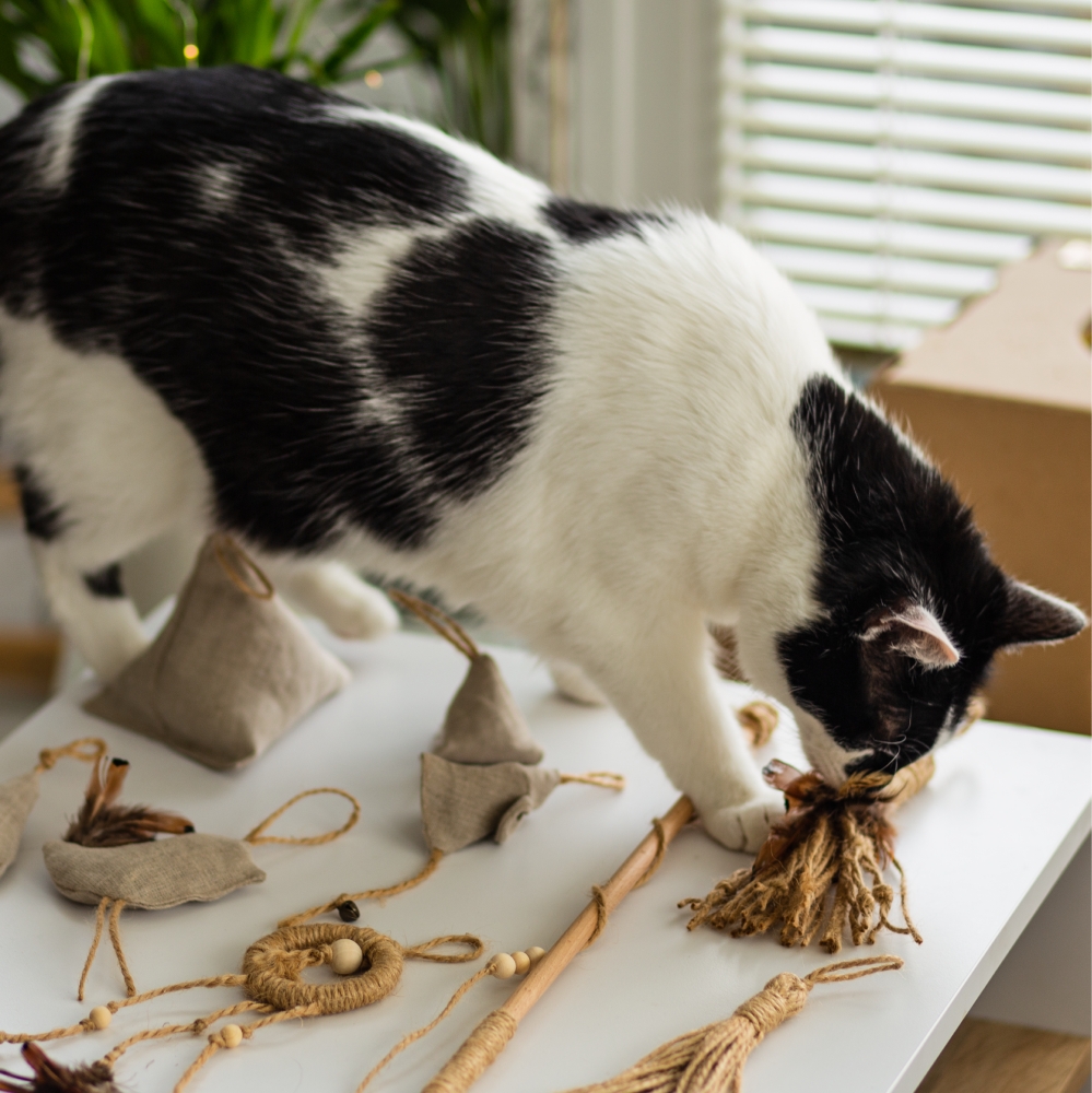 Zdjęcie The Miss Cat Organiczna zabawka Wild Cat dla kota  Loofah 24 cm